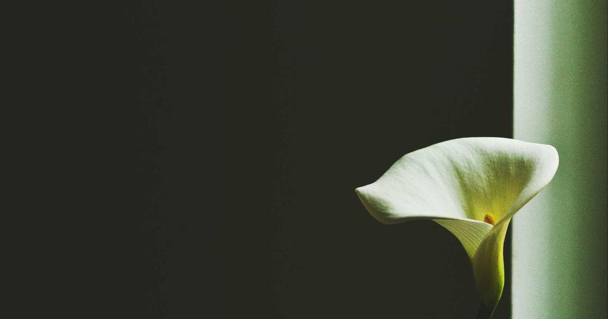 Einsteiger in die Cybersecurity: Chancen und Herausforderungen