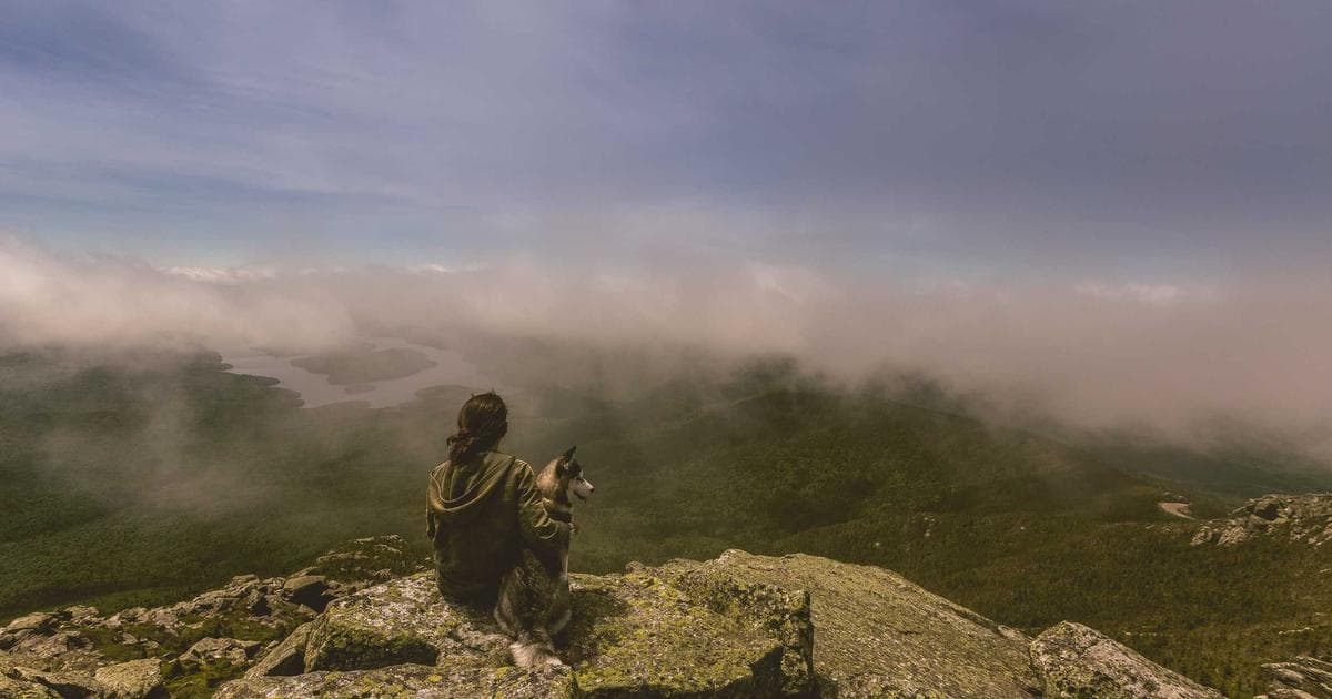 Smart Home Gadgets für mehr Komfort und Effizienz