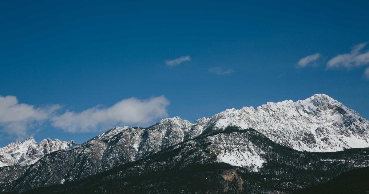 Aufregung um die Veröffentlichung von GPT-5.5