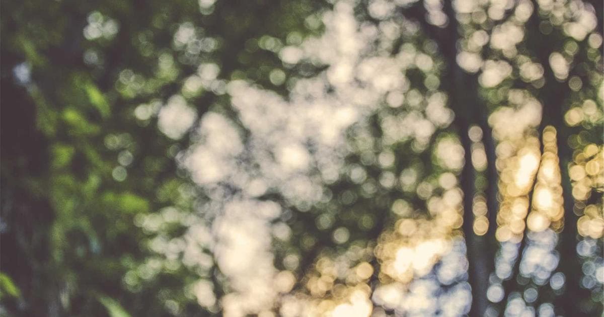 Cybersecurity in der Automobilindustrie: Ein Muss für Ingenieure