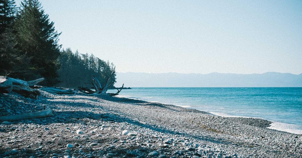 Künstliche Intelligenz: Hoffnung oder Besorgnis?