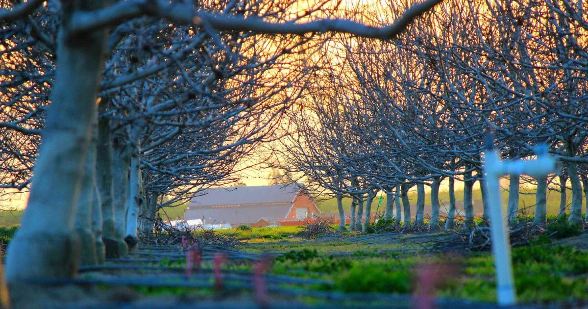 Cybersicherheit im digitalen Zeitalter: Eine Initiative für IT-Sicherheit