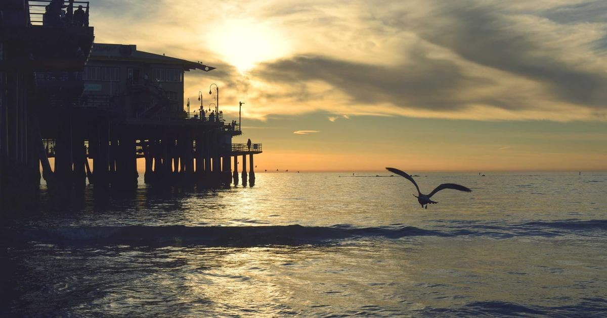 KI-gestützte Identifizierung von Schlaglöchern in Altenholz