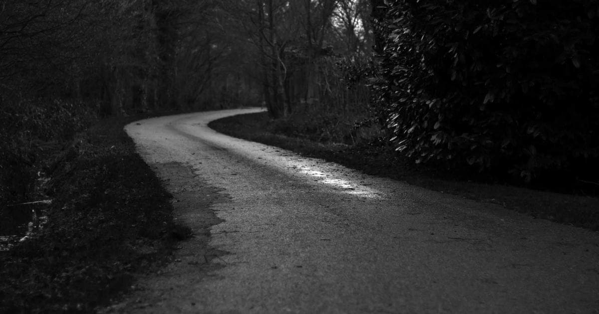 Fortinet: Führender Anbieter in der Cybersicherheit