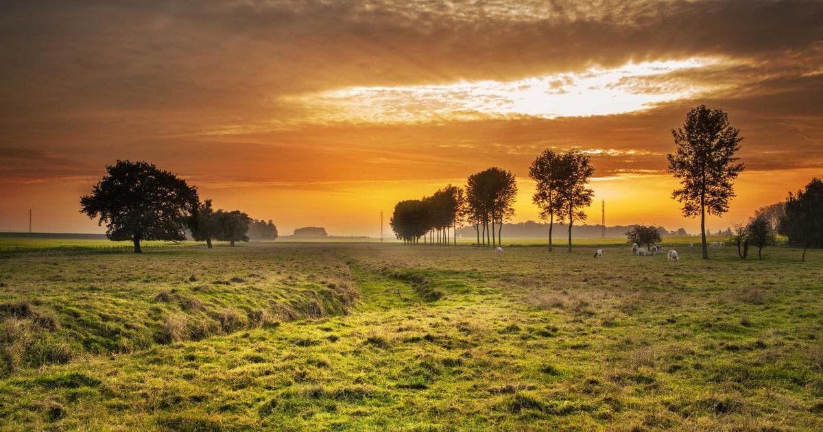 Smarte Einbruchschutzsysteme im Test: Vertrauen vs. Realität