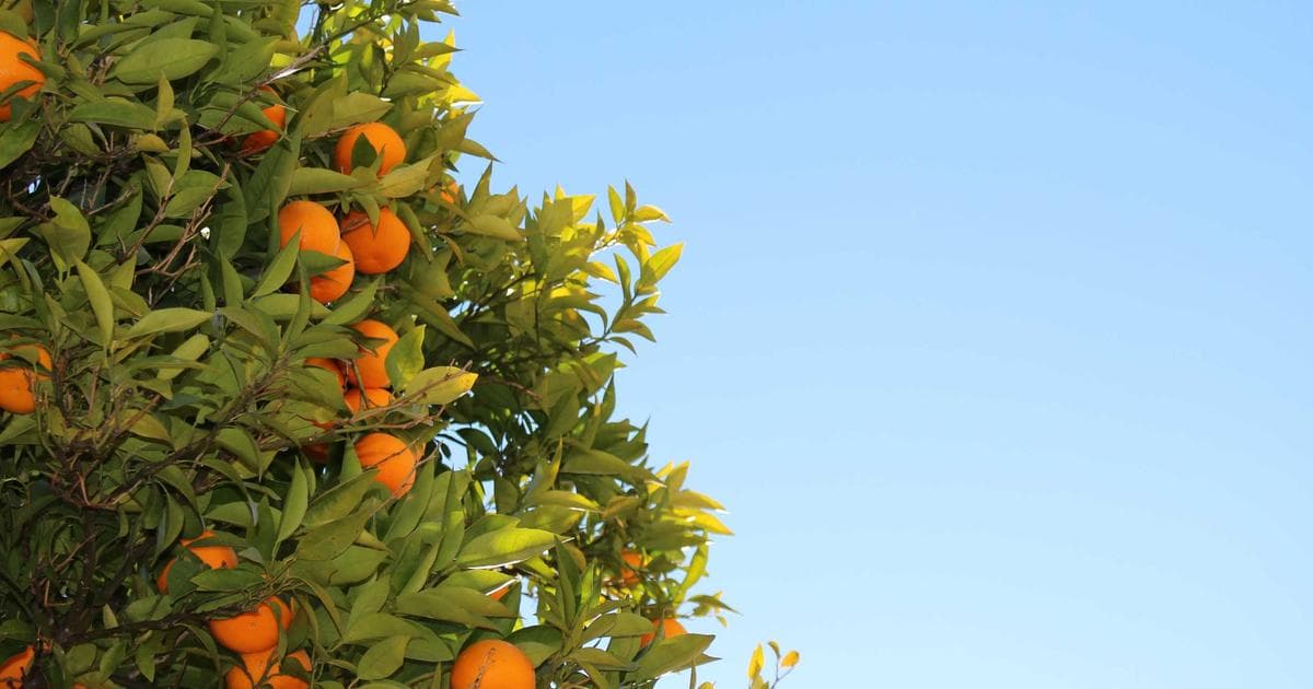 Steigender Bedarf an Cybersecurity-Fachkräften und dessen Herausforderungen