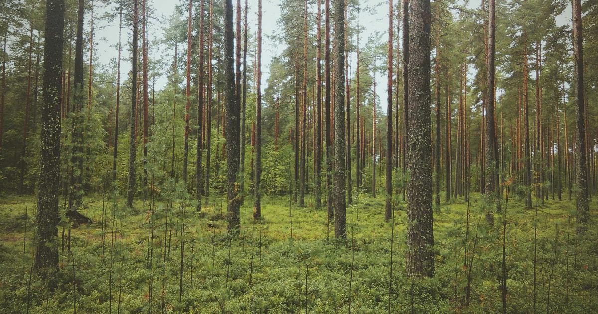 Intelligente Technologien im Smart Home: Energie sparen