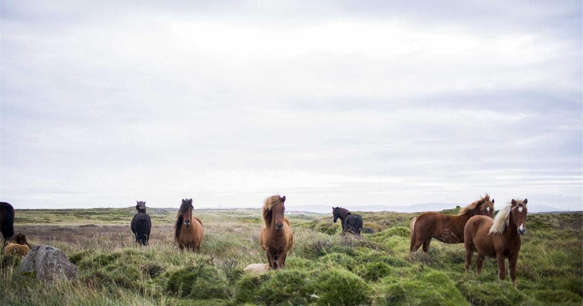 iPhone 17 Pro: Revolutionäre Features und Design-Updates