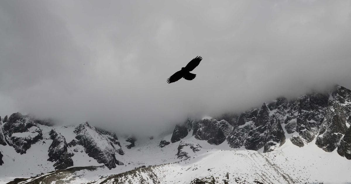 Ikea revolutioniert Smart Home mit nachhaltigen Lösungen