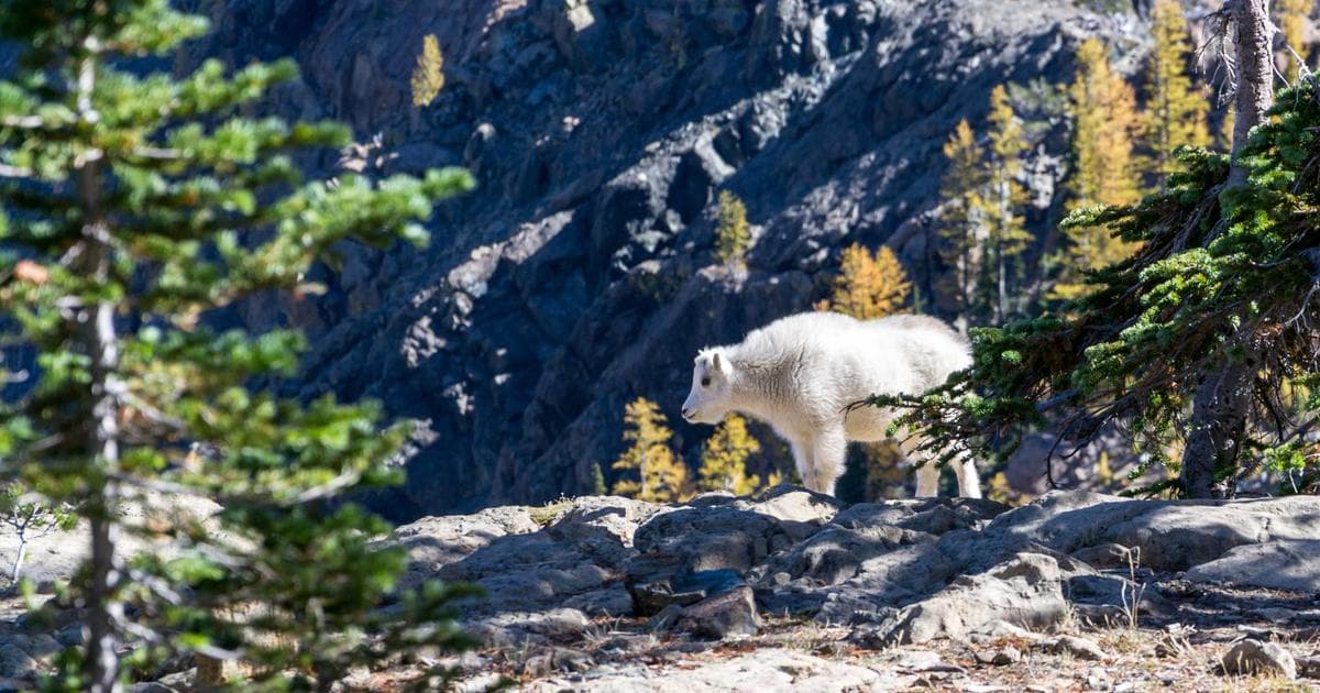 Optimale Hardware-Anforderungen für Battlefield 6