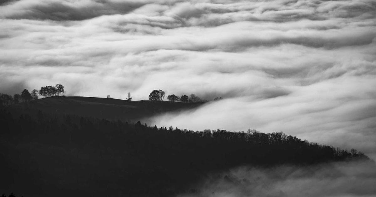 Cybersecurity-Branche erlebt beispiellosen Aufschwung