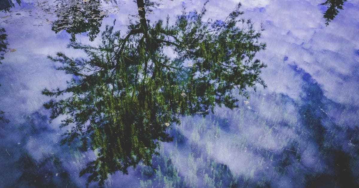 Smartphones im Leben von Kindern: Chancen und Herausforderungen