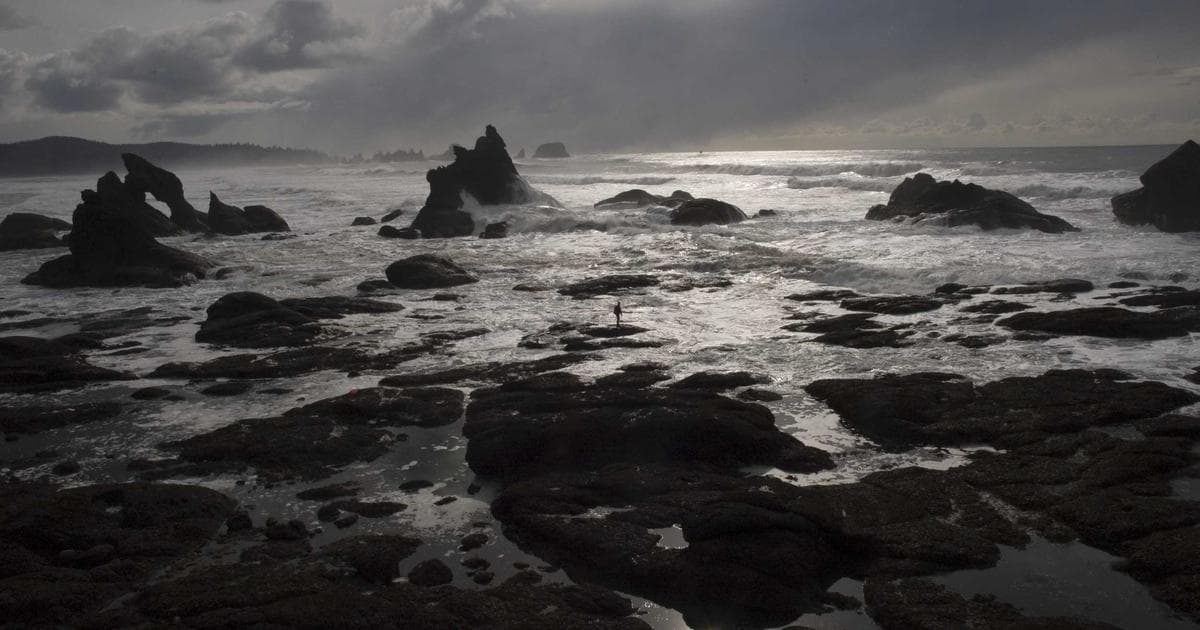 Jolla Phone: Alternative zu großen Technologiekonzernen