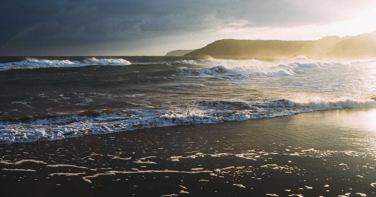 Die Zukunft der Cybersecurity: KI und Automatisierung im Fokus