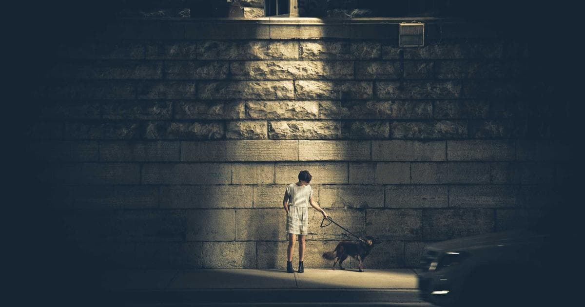 Steigende Cyberbedrohungen und effektive Schutzmaßnahmen