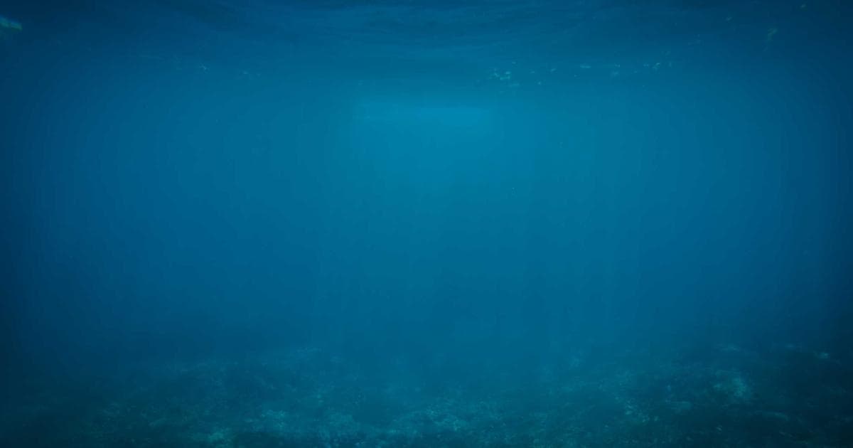 Innovationen auf der IFA 2025: Faltbare Beamer und KI-Lautsprecher