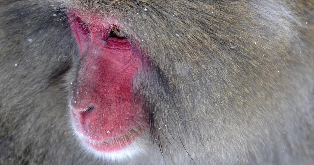 Herausforderungen der Logistikbranche durch Cyberbedrohungen