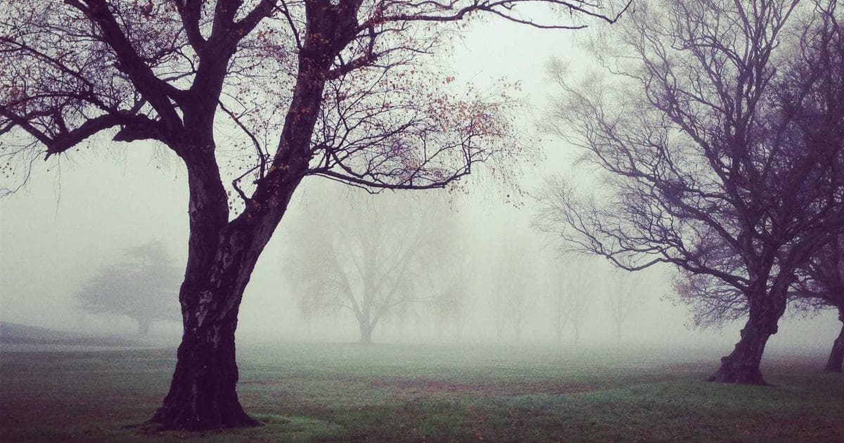 Die Herausforderungen der KI in der Polizeiarbeit