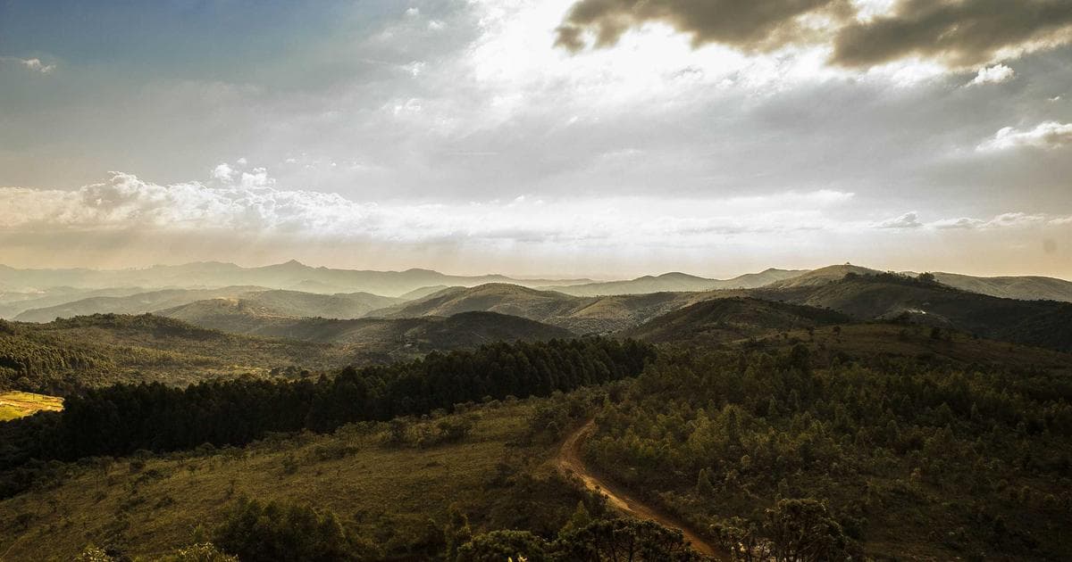 Samsung Galaxy S25: Neue Maßstäbe in der Galaxy-Serie