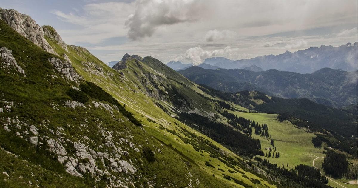 Das neue Motorola Razr: Modernes Klapphandy mit Retro-Charme