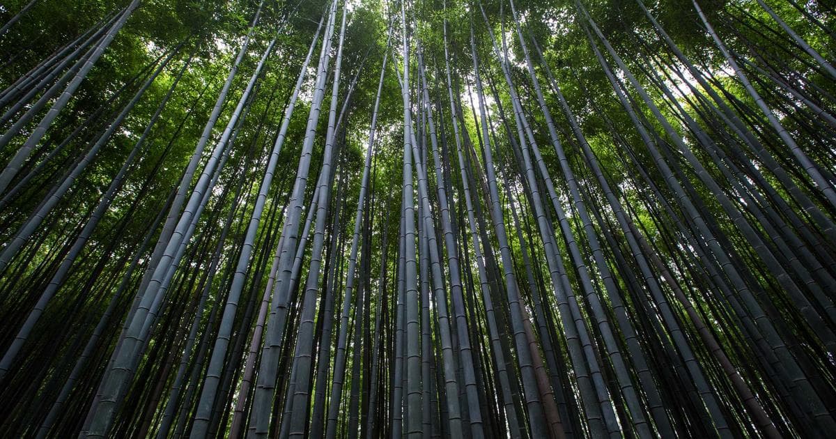 Digitale Transformation und Cybersicherheit