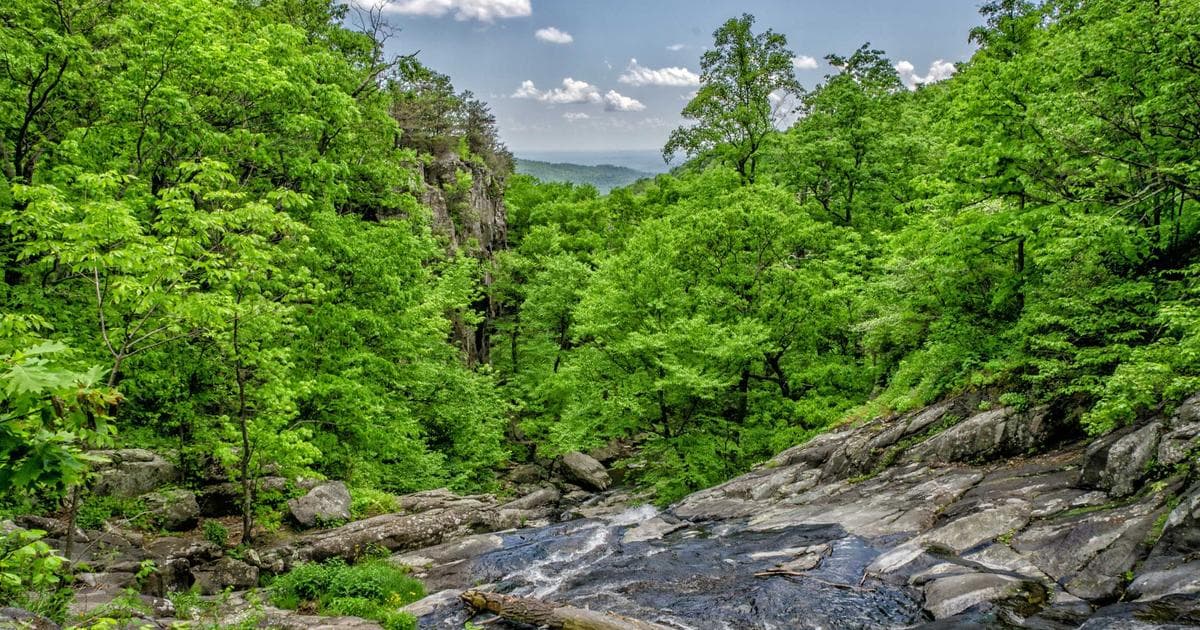 Deepseek: Revolutionäre KI-Lösungen für Such- und Empfehlungsdienste