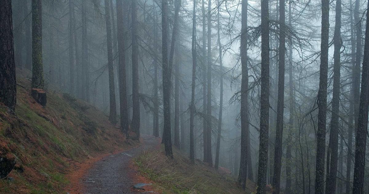 Künstliche Intelligenz revolutioniert die Mobilität