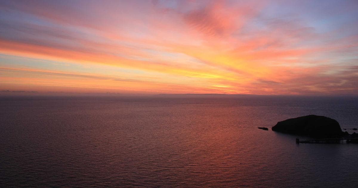 Die Chancen und Risiken von Künstlicher Intelligenz