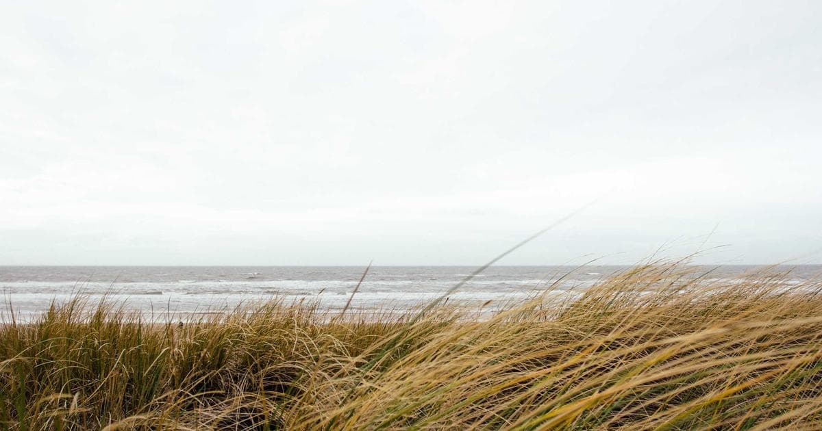 Die besten Gadgets unter 100 Euro für jeden Bedarf