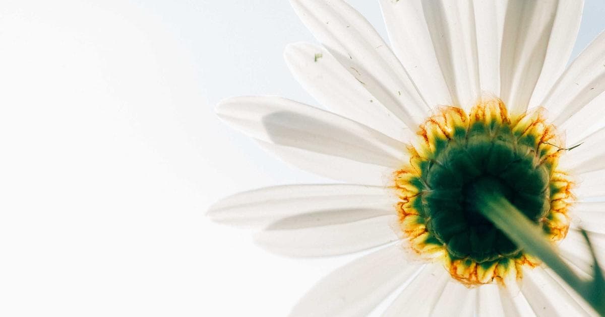 Herausforderungen der Hardwarebranche bis 2026