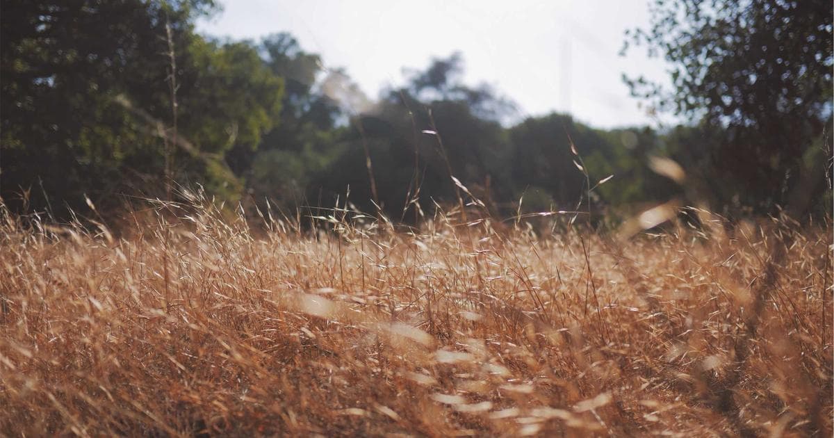 Sommerangebote für Gaming-PCs: Leistungsstarke Hardware ab 980 Euro