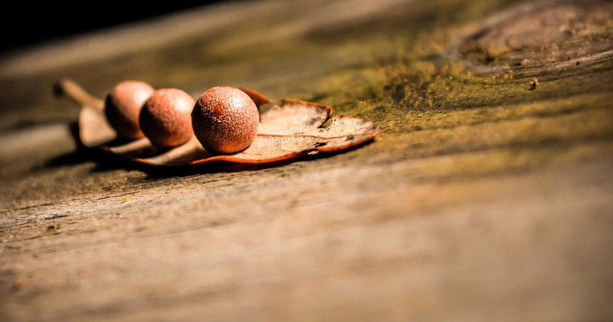 Die wachsende Bedrohung durch Cyberangriffe