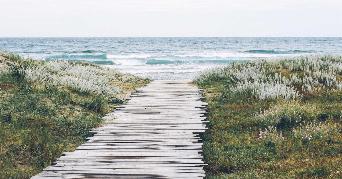 Wachstum des Gaming-PC-Markts und maßgeschneiderte Lösungen