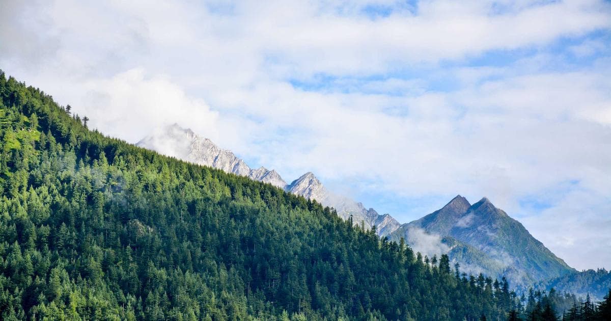 Tierversuche in der pharmazeutischen Forschung: Wandel durch KI