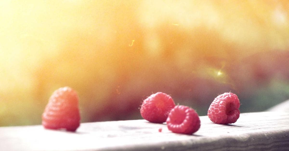 Künstliche Intelligenz: Herausforderungen und Strategien der Bundesregierung