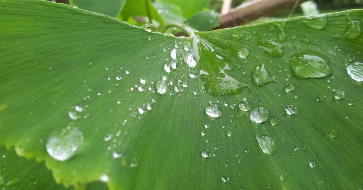 Amazon Echo Hub: Der zentrale Steuerungspunkt für Smart Homes