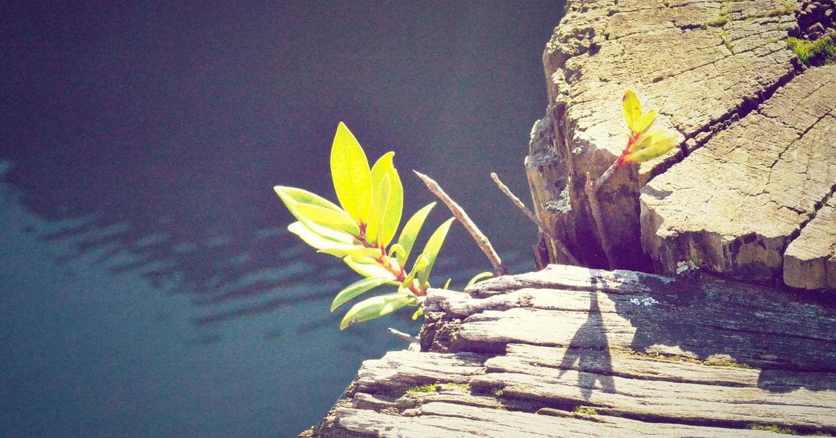 iPhone Air: Revolution im Smartphone-Design