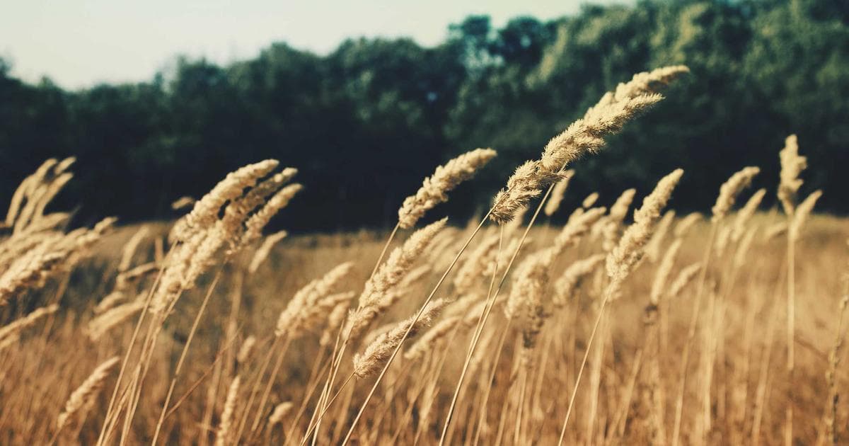 Apple präsentiert das MacBook Neo: Ein neues, kostengünstiges Modell