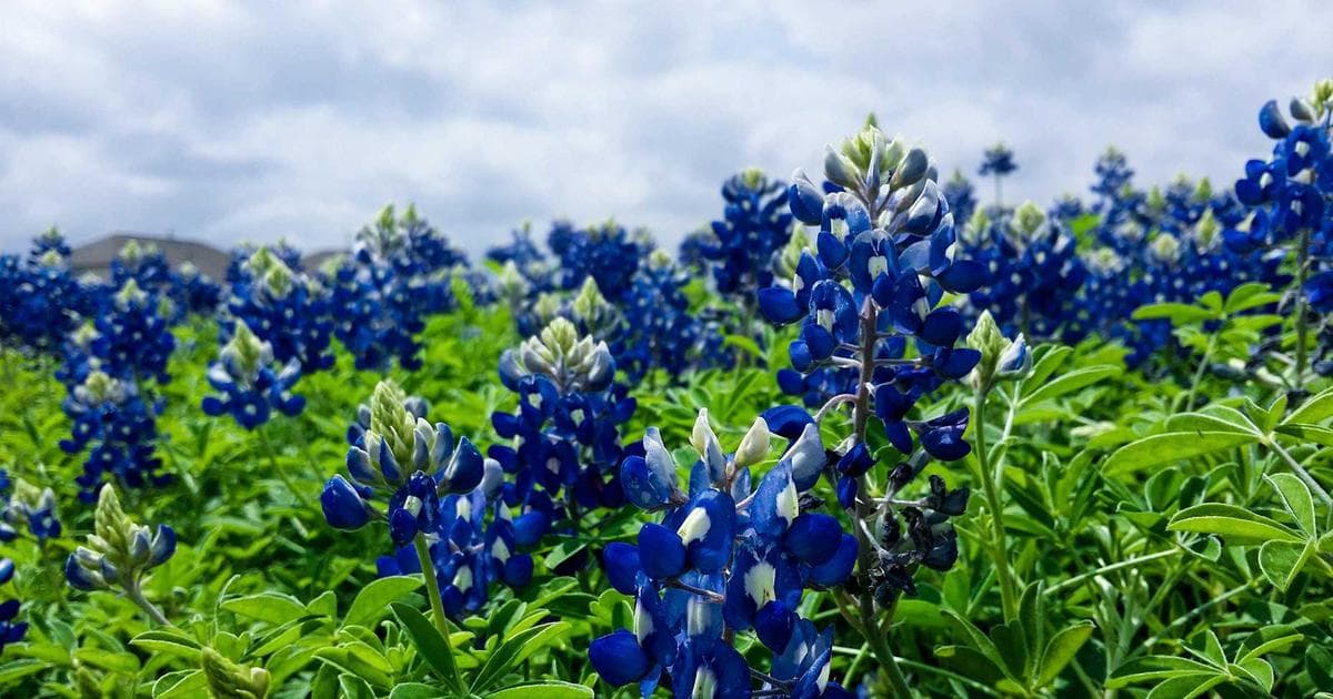 Hardware-Ausblick 2026: Herausforderungen und Chancen