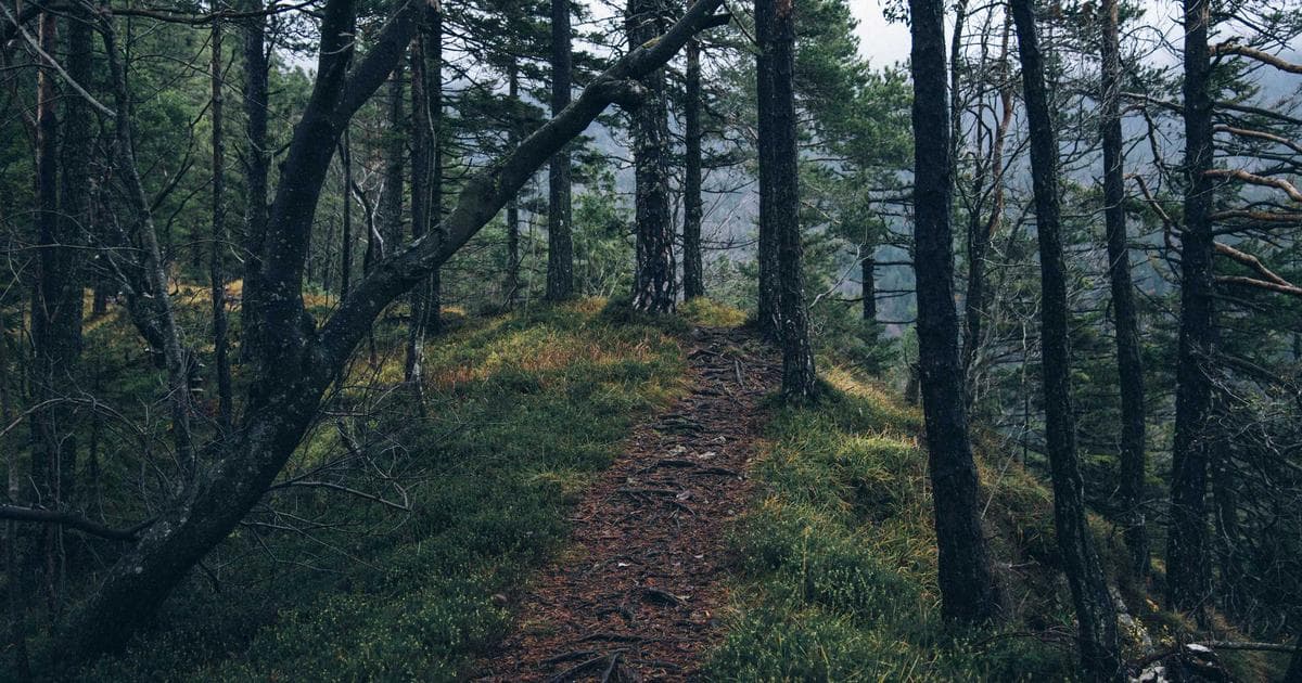 Aqara: Smart Home Lösungen für ein modernes Zuhause