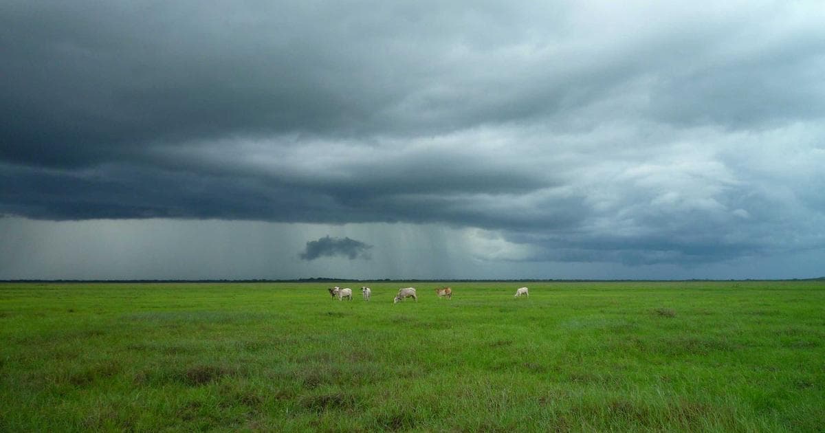 Digitale Transformation und Cybersecurity: Ein Balanceakt