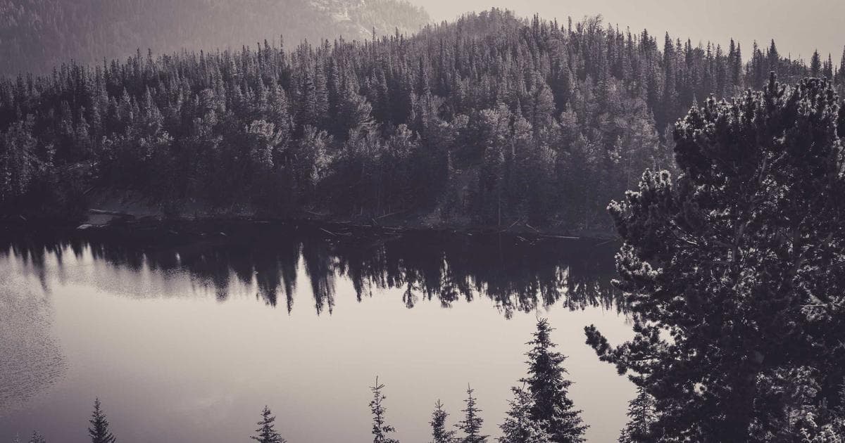 Die Auswirkungen von Künstlicher Intelligenz auf die Gesellschaft