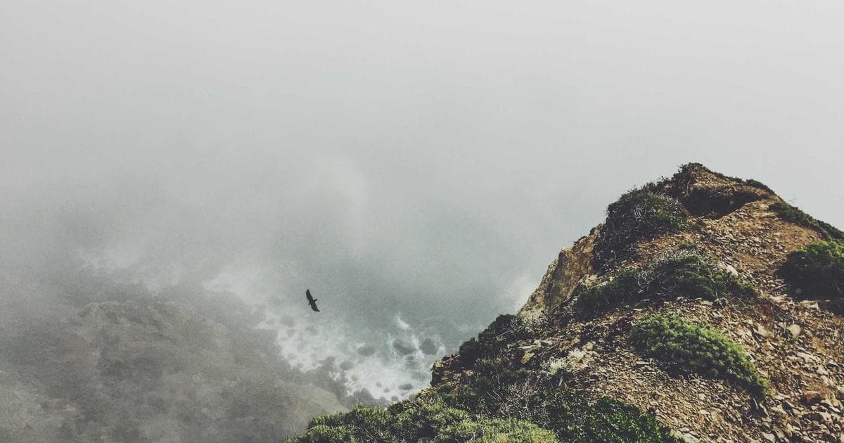 Integration von KI in die öffentliche Sicherheit