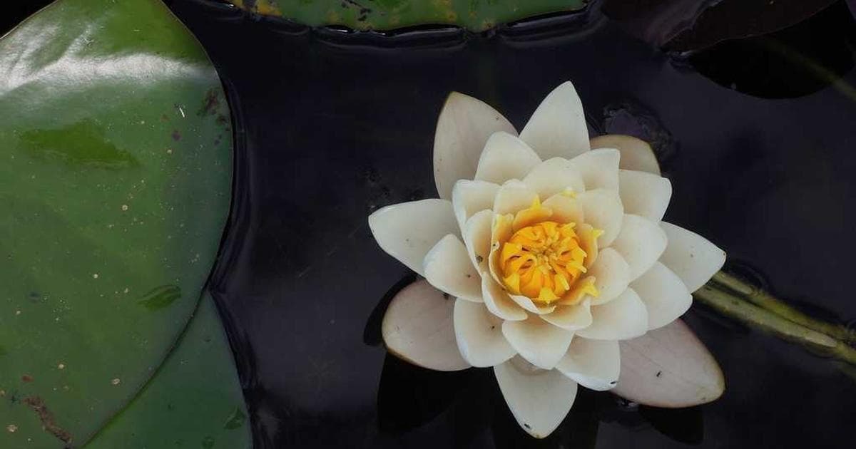 Moderne Outdoor-Smartphones: Design trifft Funktionalität