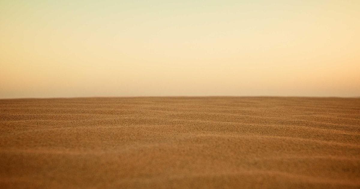 Künstliche Intelligenz und ihre Auswirkungen auf den Arbeitsmarkt