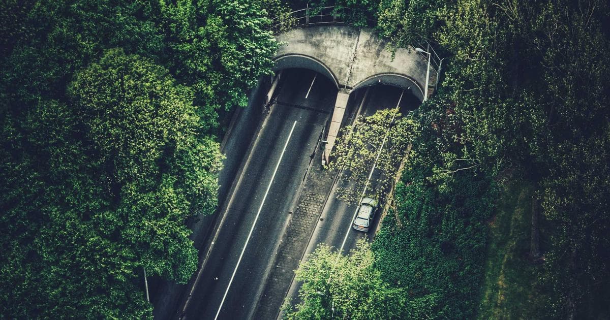 Fortinet und die wachsende Bedeutung der Cybersecurity-Branche