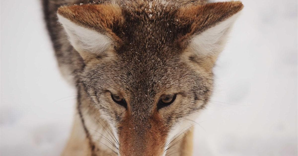 Cybersicherheit in der Industrie: Herausforderungen und Lösungen