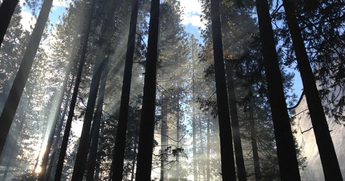 Die Rolle des Smart-Meter-Gateways in der Energiedigitalisierung