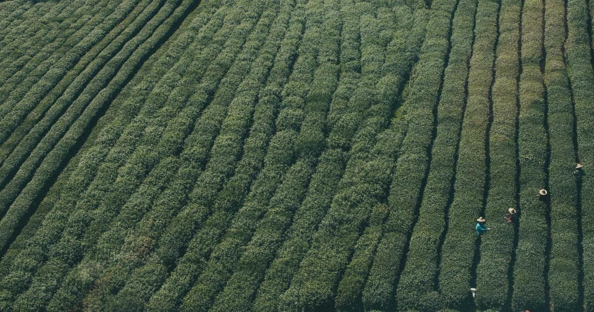 Die Bedeutung der Browsersicherheit im digitalen Zeitalter