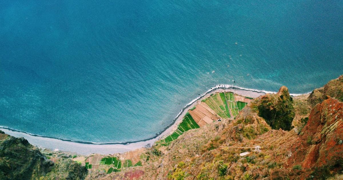 Der Wettlauf um die besten KI-Modelle: OpenAI vs. Anthropic